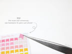 Brush Script Date Flag Bujo Planner Stickers: 6mm 9.5mm 10mm