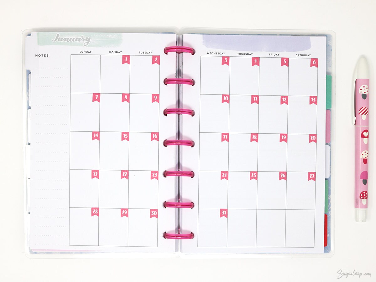 One Year Date Flags Bujo & Planner Stickers Bundle : 0.25in (6 mm) 0.3in (8 mm) 0.43in (10 mm) Wide