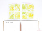 Full Boxes Lined Checklist Bujo Planner Stickers: Various Colors
