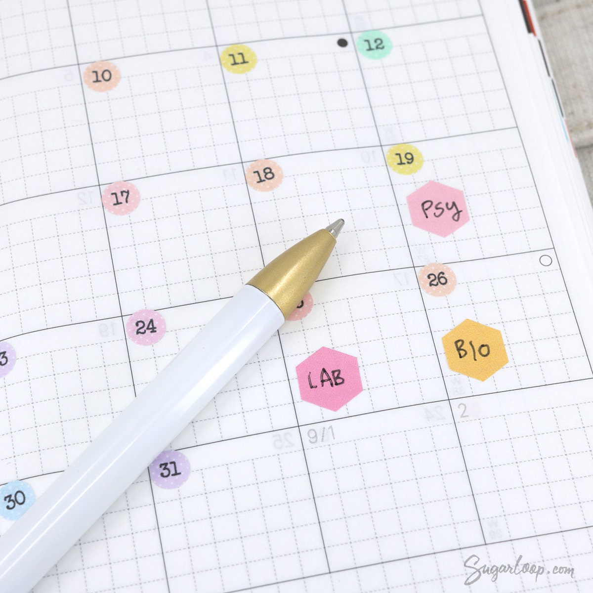 Hexagon Pastel Bujo Planner Stickers: 0.5in (12mm) 0.75in (19mm)