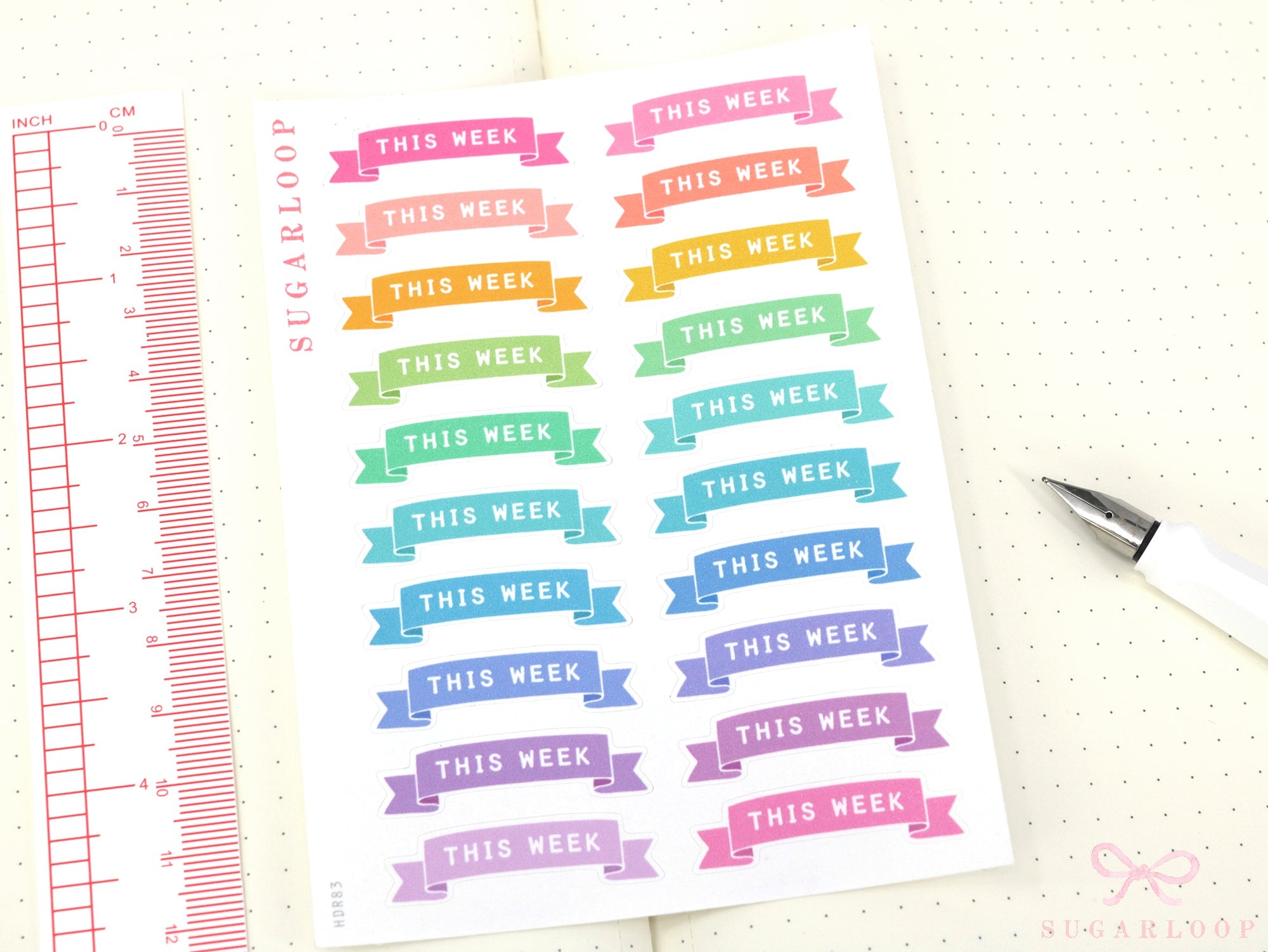 This Week/Next Week Banner Planner and Journal Stickers: Bright  Hobo  Tasks  To Do