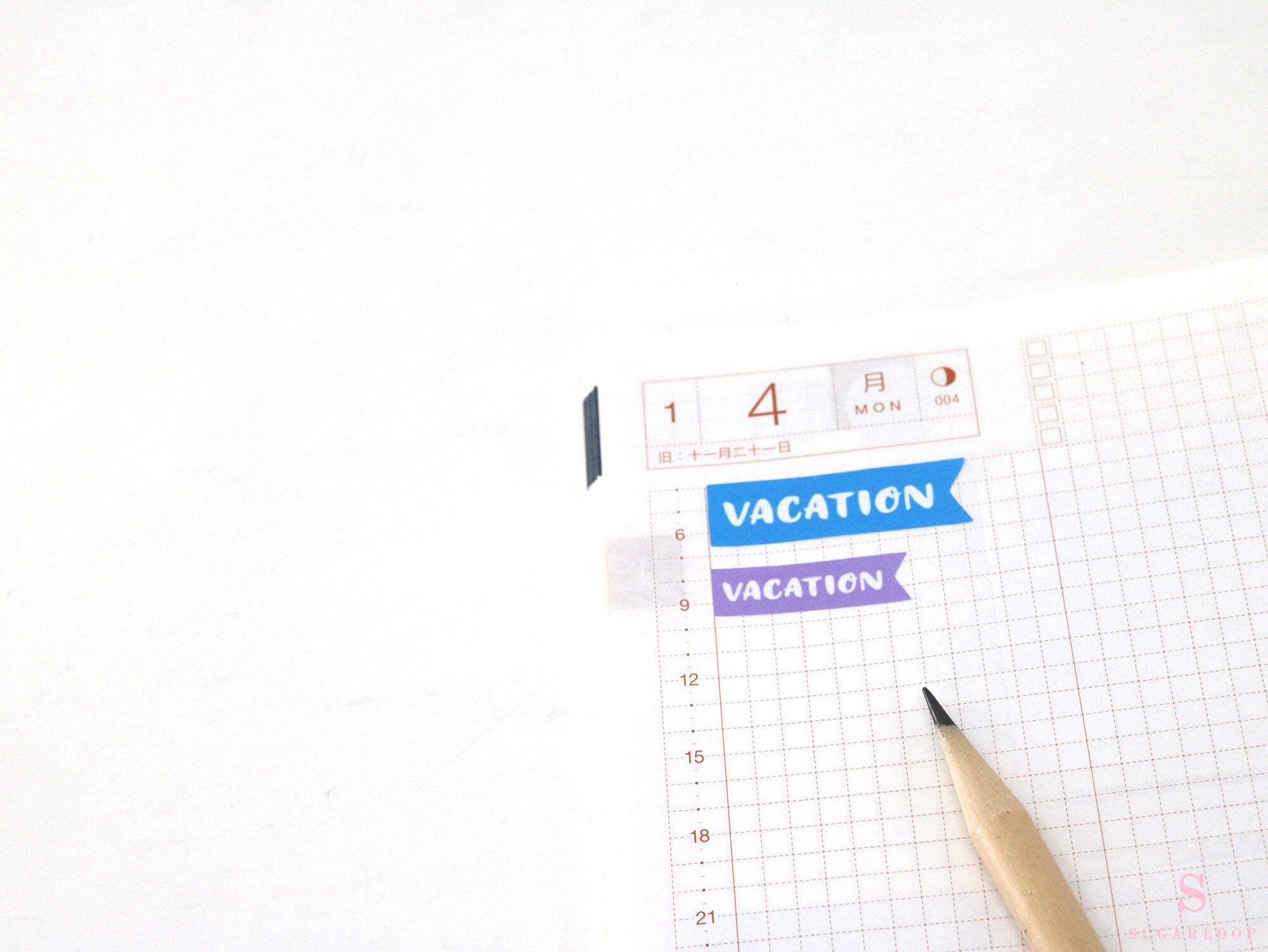 Vacation Vacay Brush Script Hand Lettered Banner Flag Bujo Planner Stickers: Rainbow