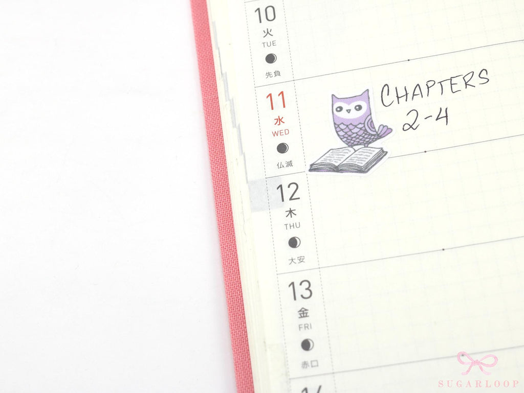 Reading Book Club Cute Vintage Style Owl Stickers for Journals & Planners: Rainbow