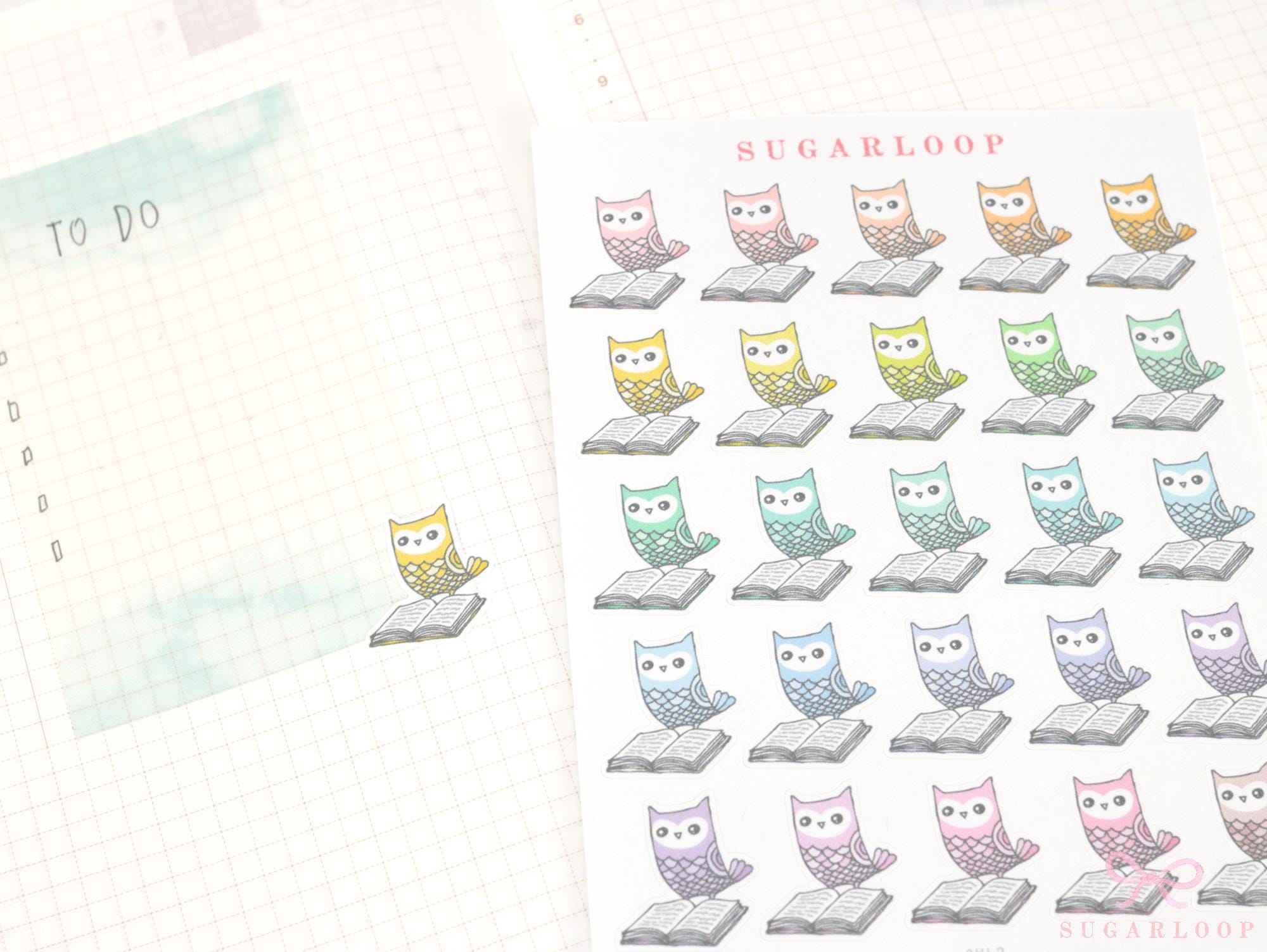 Reading Book Club Cute Vintage Style Owl Stickers for Journals & Planners: Rainbow