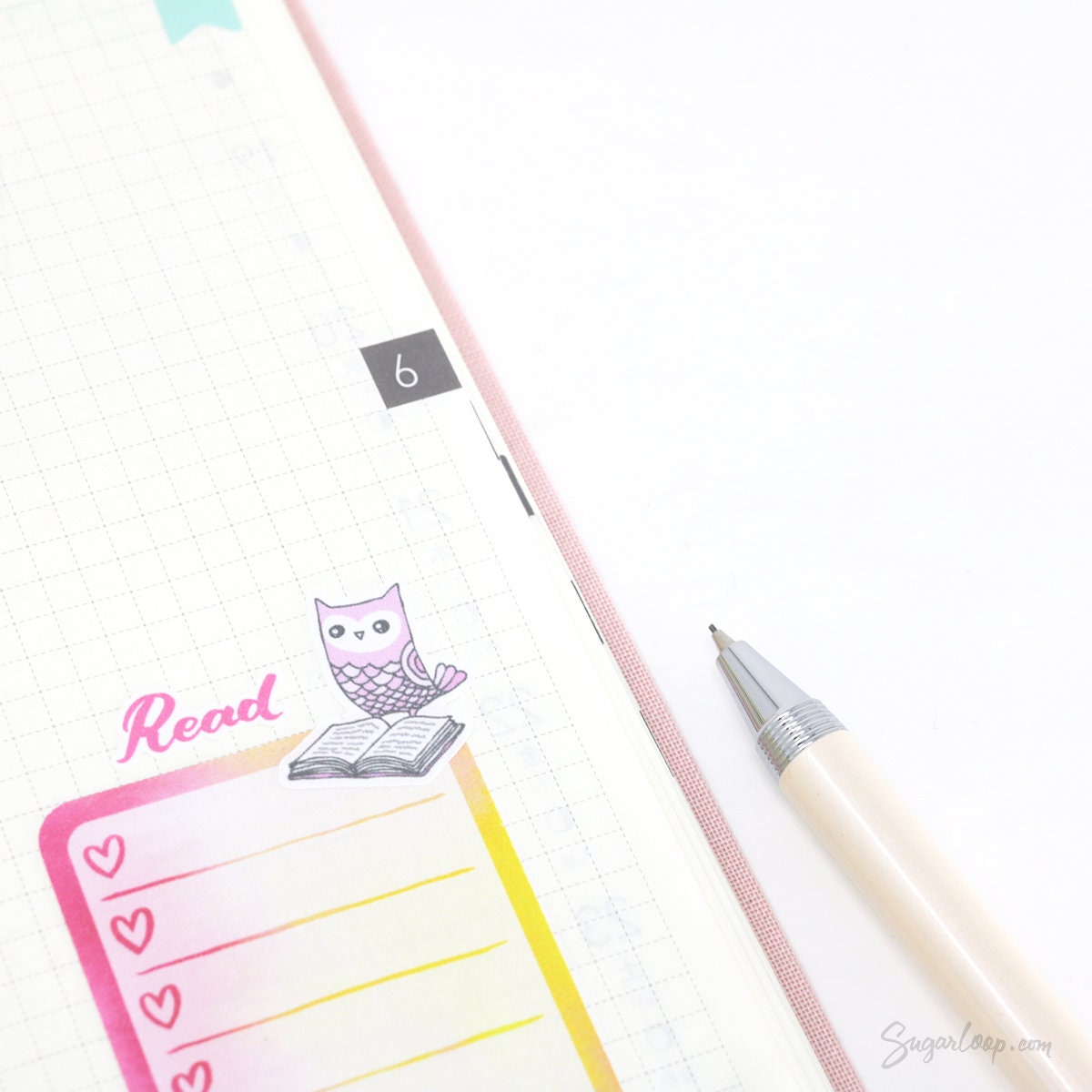 Reading Book Club Cute Vintage Style Owl Stickers for Journals & Planners: Rainbow