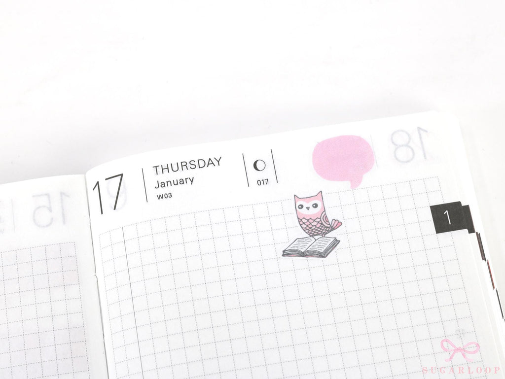 Reading Book Club Cute Vintage Style Owl Stickers for Journals & Planners: Rainbow
