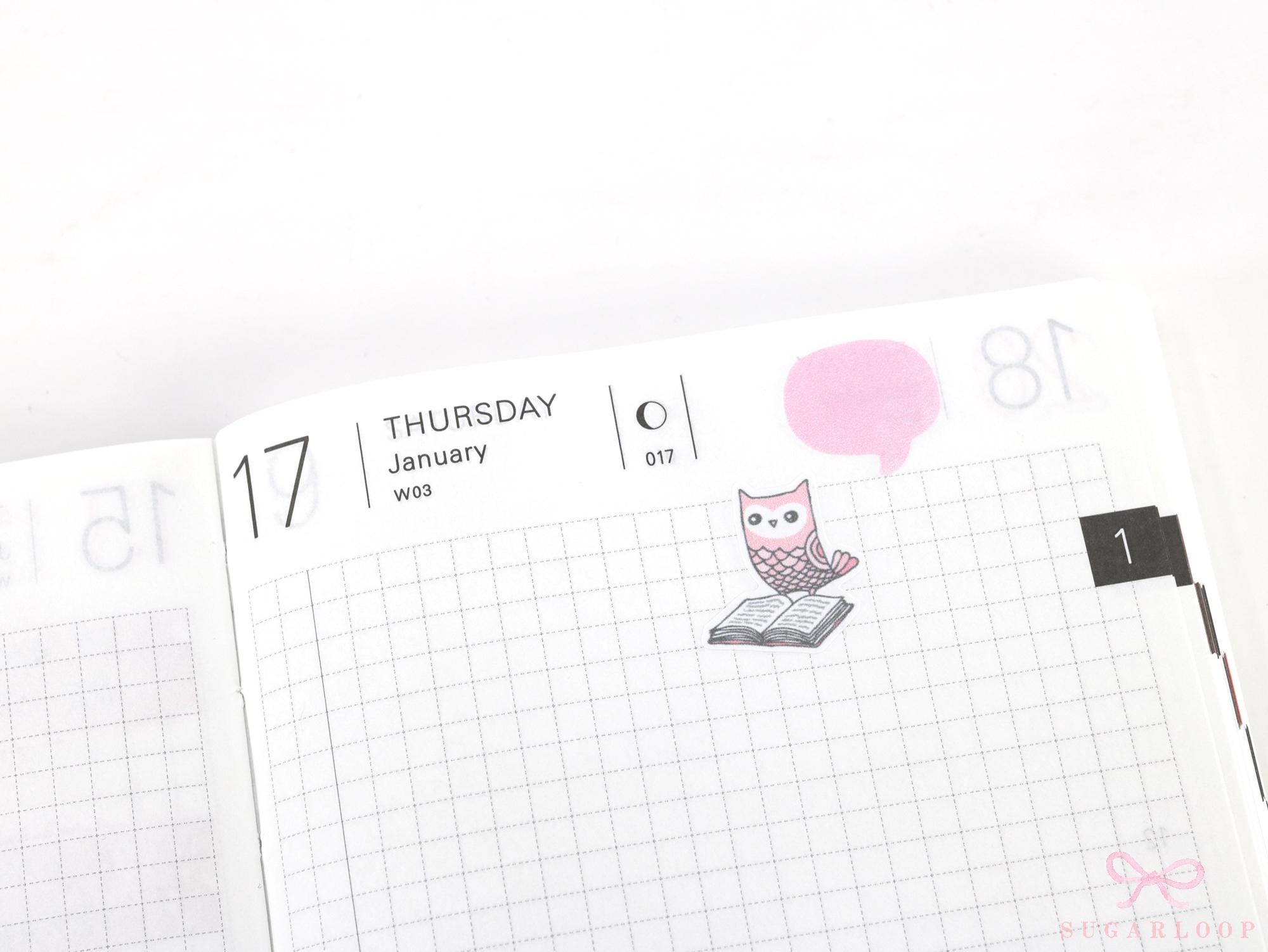 Reading Book Club Cute Vintage Style Owl Stickers for Journals & Planners: Rainbow