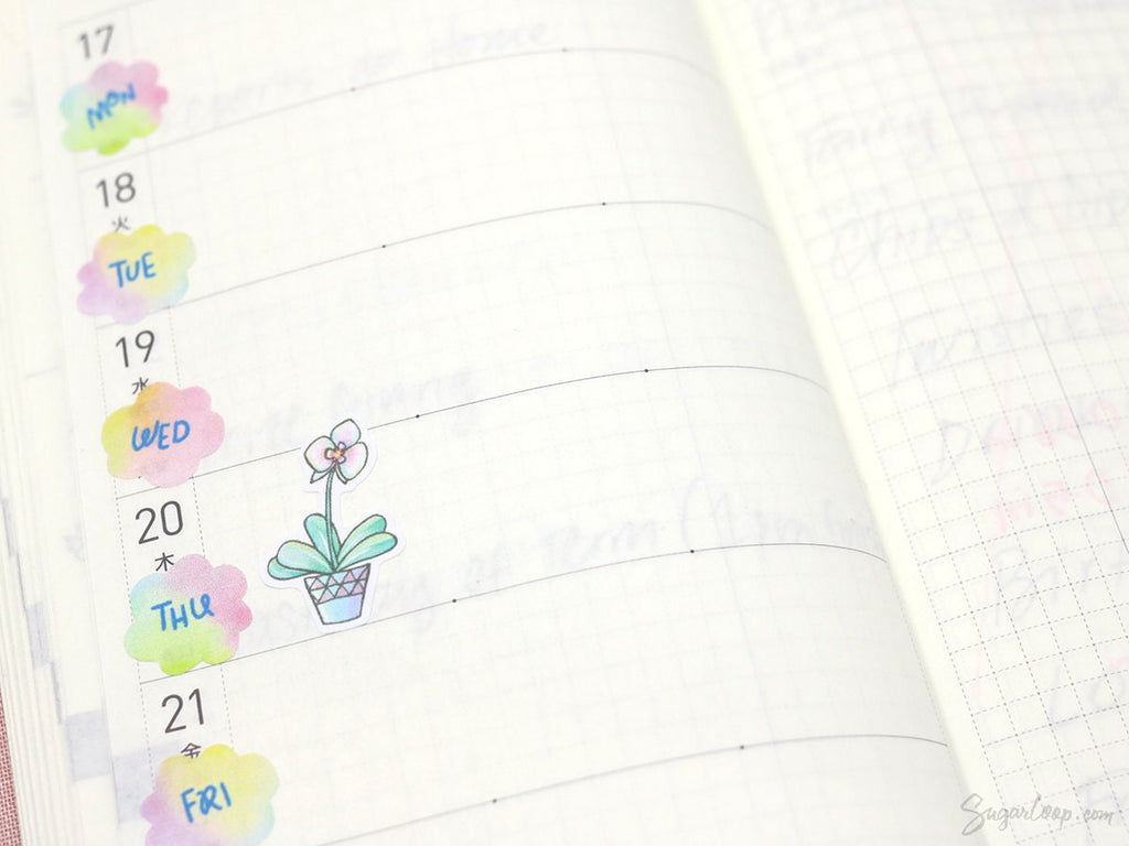 Cute Hand-Drawn Pot Plant Stickers – Bujo & Planner Stickers for Planning and Journaling