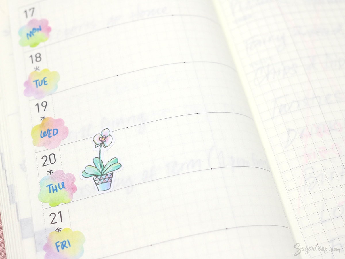 Cute Hand-Drawn Pot Plant Stickers – Bujo & Planner Stickers for Planning and Journaling
